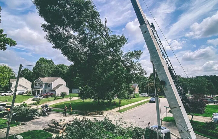 24-hour Crane Assisted Tree Removal Service