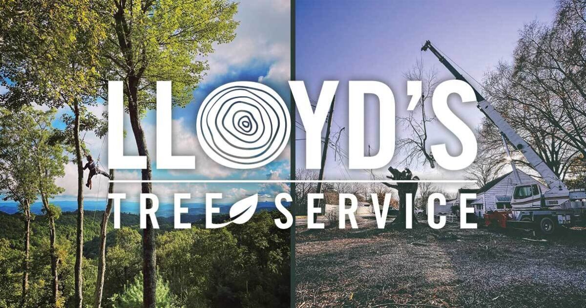 Lloyd's Tree Service Arborists & Tree Pruning Services Raleigh, NC
